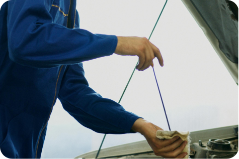 Book Free Inspection Book Free Inspection